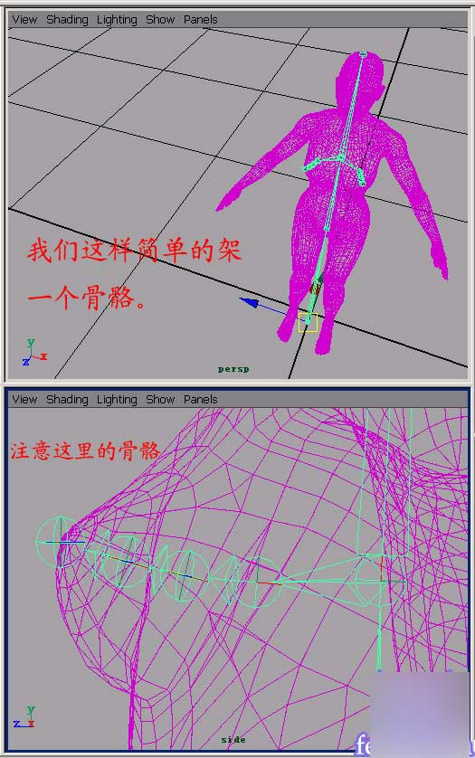 Maya 6.0 新功能之Hair 武林网 MAYA角色动画教程