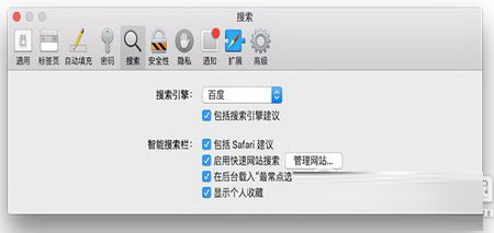 safari地址栏无法搜索怎么办 safari地址栏搜索不了解决方法2
