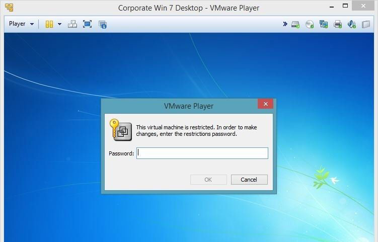 VMware Player