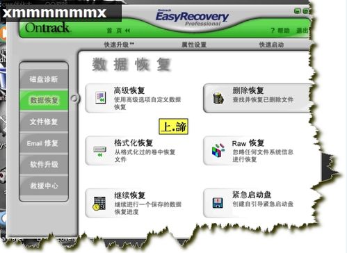 EasyRecovery数据恢复软件（使用图解教程）