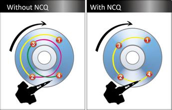 without NCQ和with NCQ