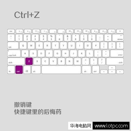 ctrl+z