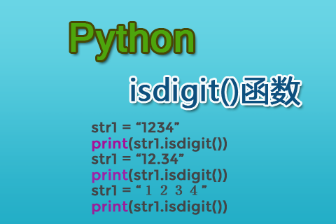 Python isdigit()函数