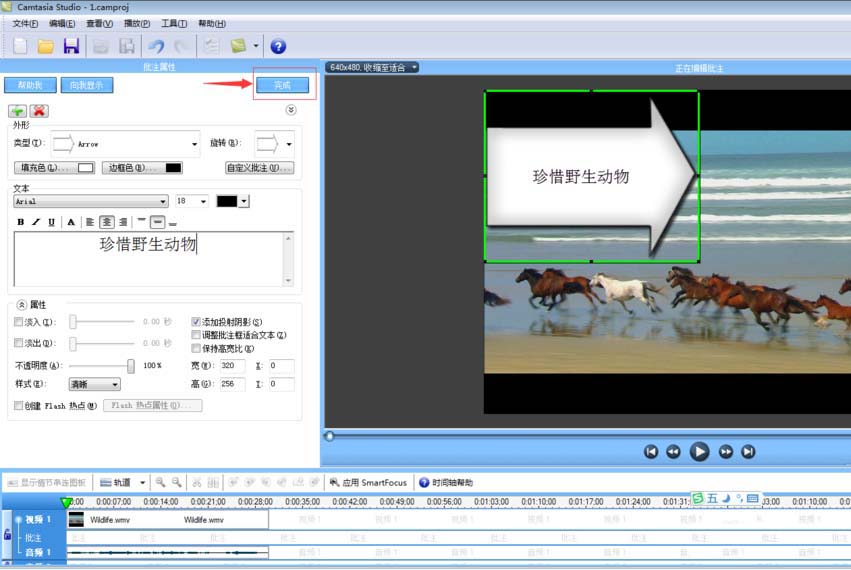 camtasia,文字批注