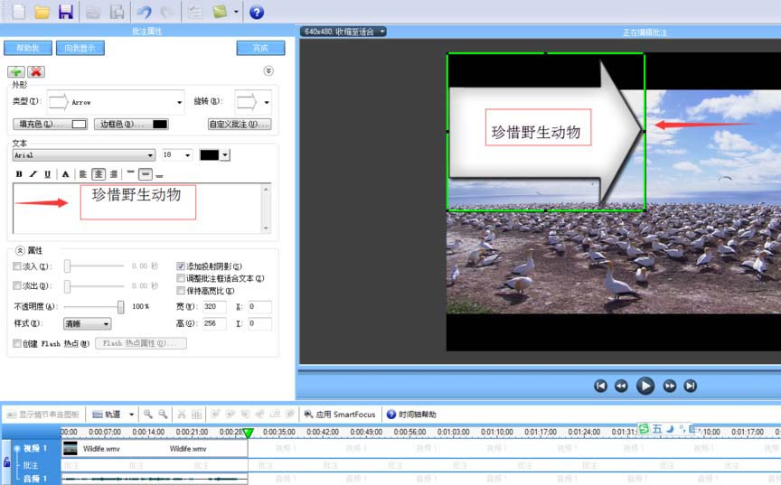 camtasia,文字批注