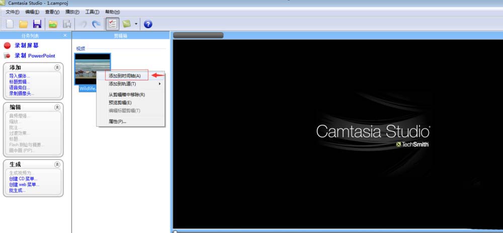 camtasia,文字批注