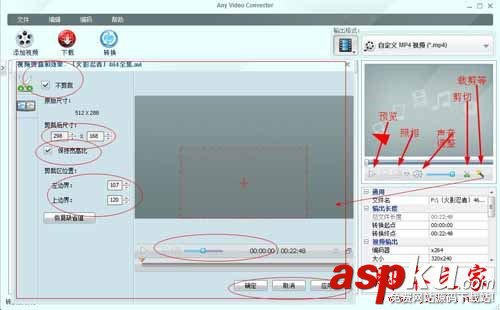 AnyVideoConverterFree使用教程,AnyVideoConverterFree,怎么使用