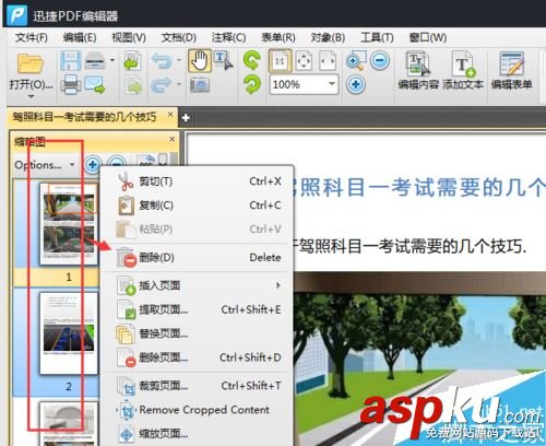 PDF,页面