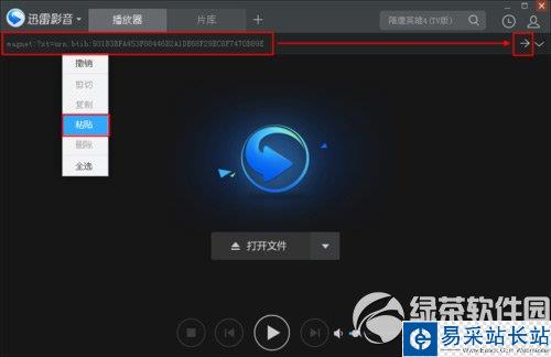 迅雷影音怎么看片？迅雷影音看片教程2