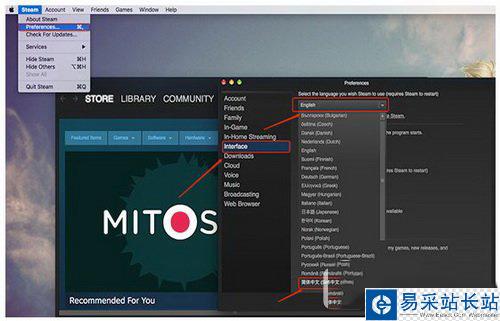 mac版steam无法设置中文 steam更新后中文设置无效解决方法1