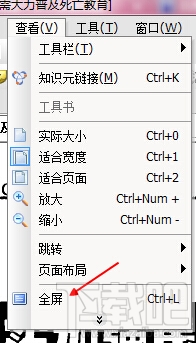 cajviewer,阅读器,全屏显示