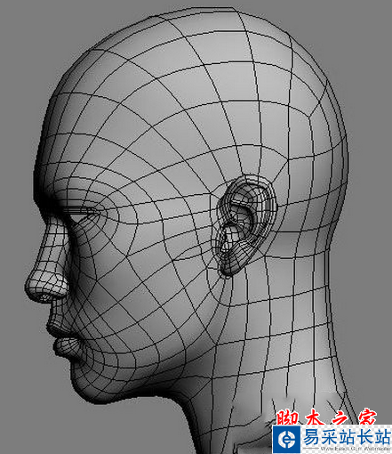 3dsmax人物怎么建模 3dsmax人物建模教程4