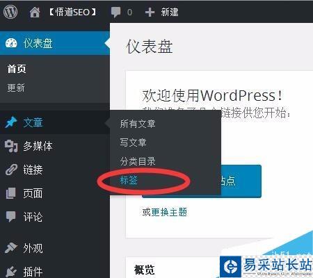 wordpress标签如何使用