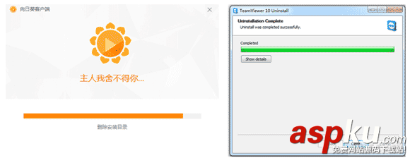 向日葵,Teamviewer