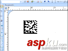 CODESOFT,二维码