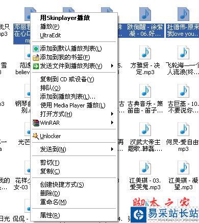 影音文件用skinplayer播放