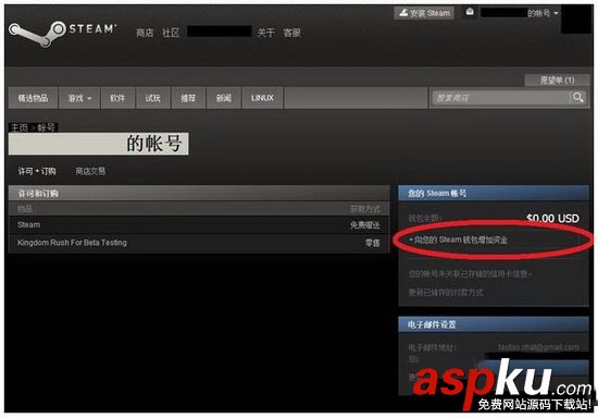 steam,充值