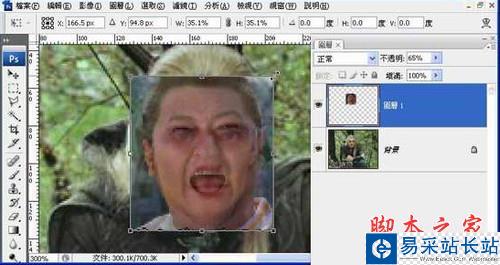 Photoshop移花接木教程 恶搞人面合成 