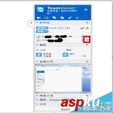 Teamviewer,会议