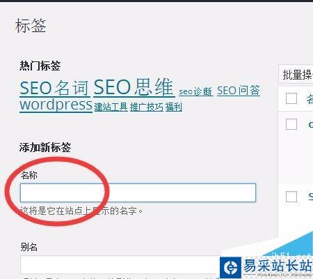 wordpress标签如何使用