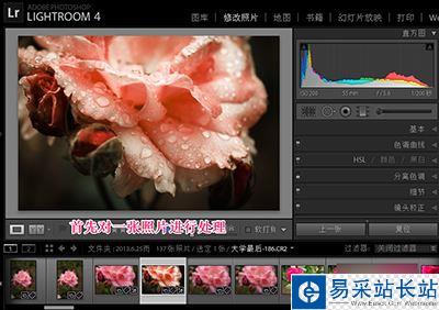 Lightroom批量处理的方法详解