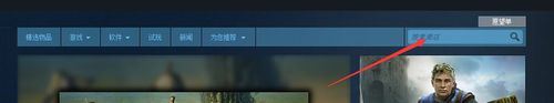 Steam,游戏,购买,安装