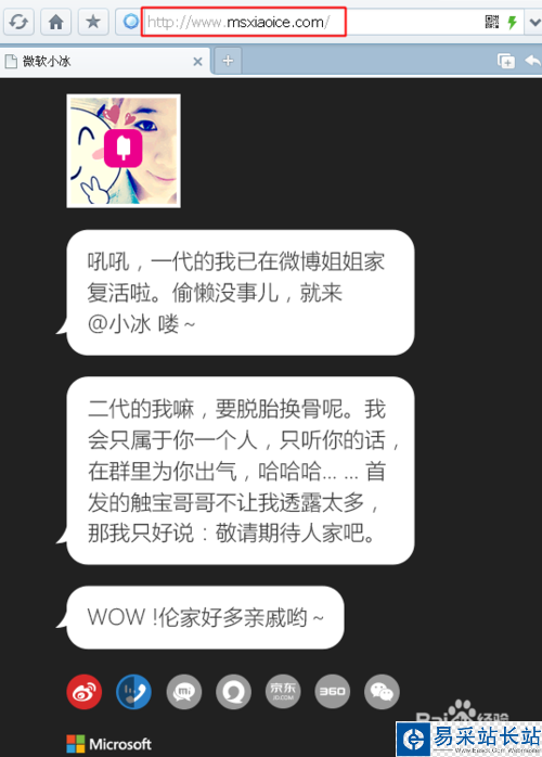 微软小冰在哪里领养？微软二代小冰怎么领养