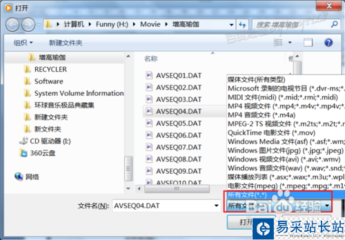 电脑中DAT类型的文件怎么查看