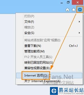 打开“Internet 选项”