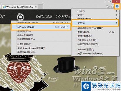 IE10 InPrivate 隐私浏览模式的使用
