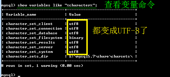 mysql,安装,配置