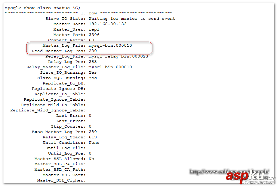 MySQL,mysqldump