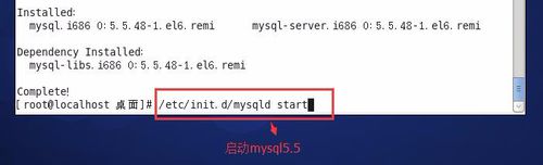 CentOS,MySQL安装,yum