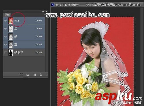 Photoshop,颜色通道,红色,新娘