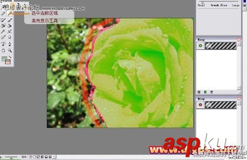 Photoshop抠图,Mask,pro,4.11,抠图