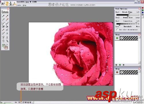 Photoshop抠图,Mask,pro,4.11,抠图