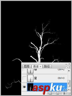 Photoshop,抠图