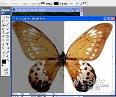 photoshop营造梦幻效果_神秘园中的精灵_网4页教学网webjx.com整理转载