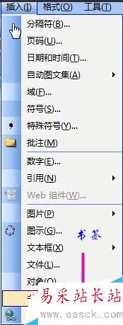 word2003中如何插入书签