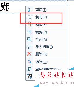 word2003如何反向字体