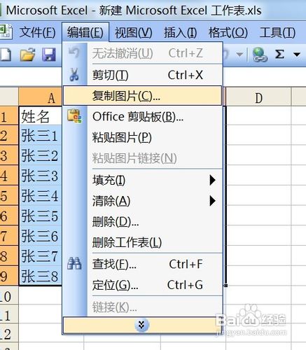 如何将Excel单元格转换成图片形式插入到Word中