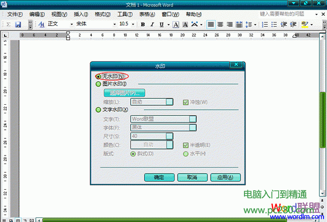 Word2003文档中怎么样去水印