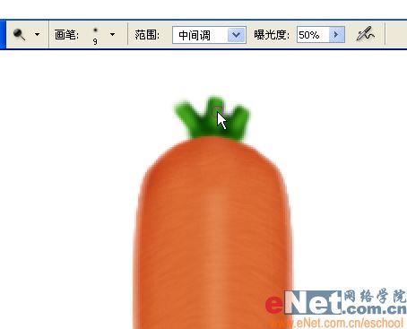 巧用photoshop鼠绘鲜嫩的胡萝卜_网页设计webjx.com转载