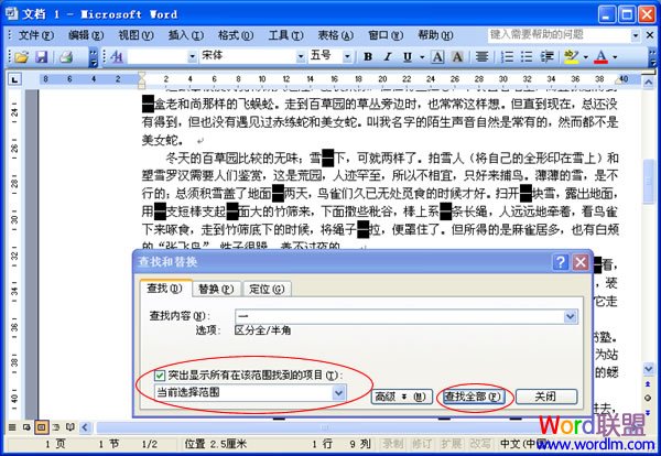 Word2003查找替换功能的使用