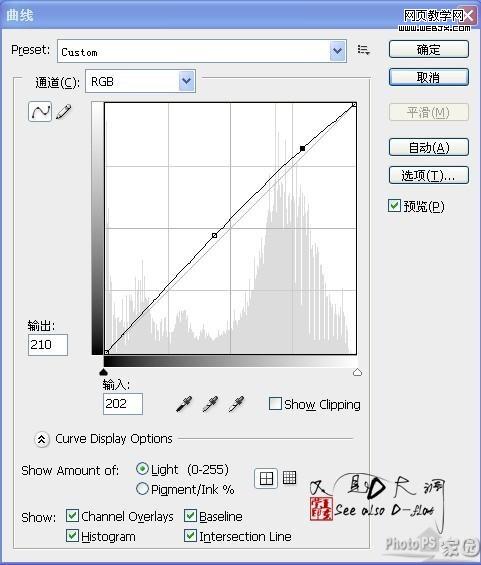 ps调色教程:卡通仿手绘美女-www.webjx.com