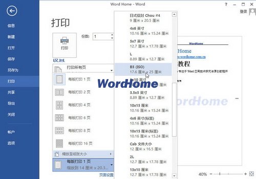 选择缩放打印的纸张类型