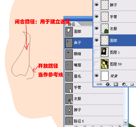 零基础鼠绘系列教程二之鼻子篇