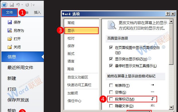 Word2010设置不显示回车符