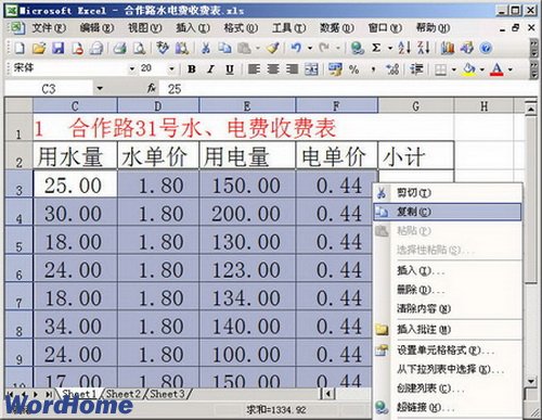 在Word2003中使用“选择性粘贴”功能粘贴Excel数据  武林网