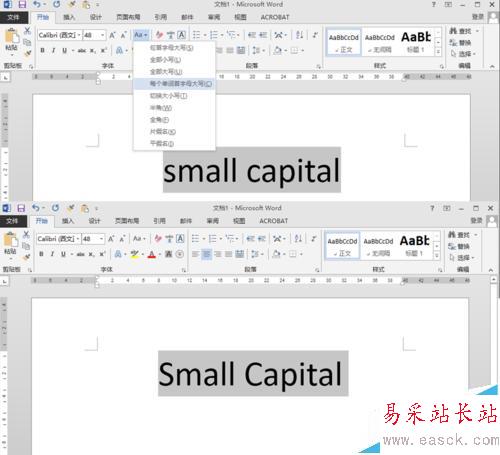 word设小型大写字母small capitals